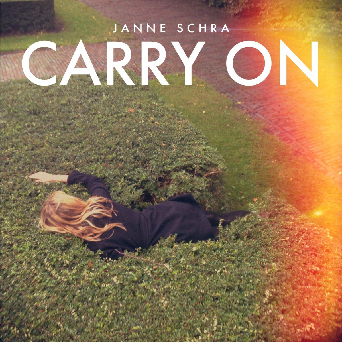 Album cover of Carry On