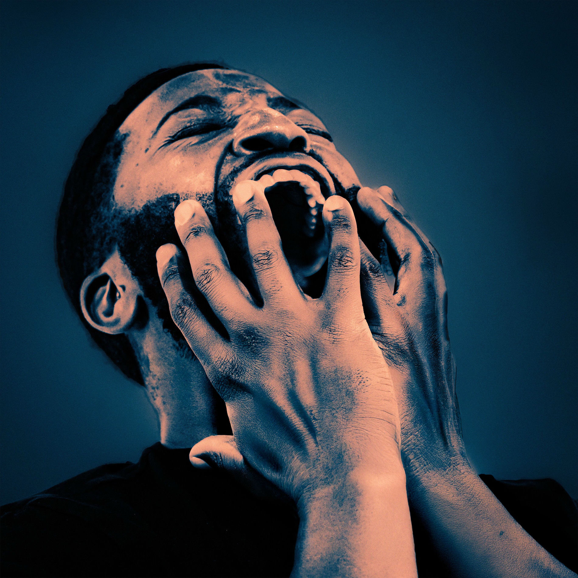 Album cover of Metanoia