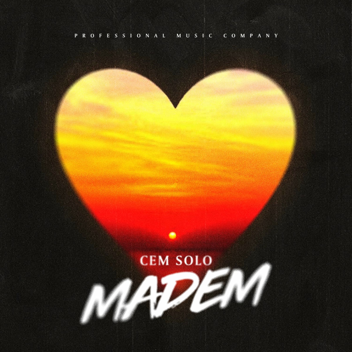 Album cover of Madem