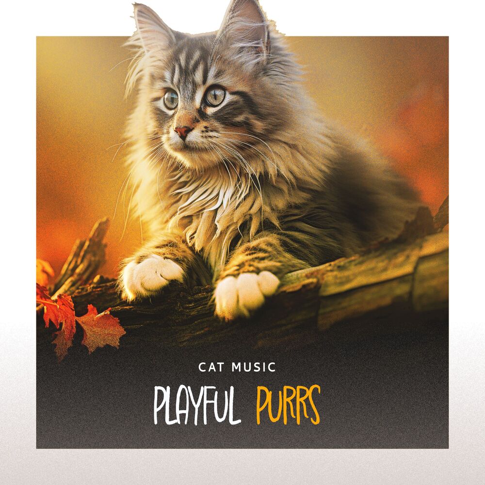 Picture of Playful Purrs