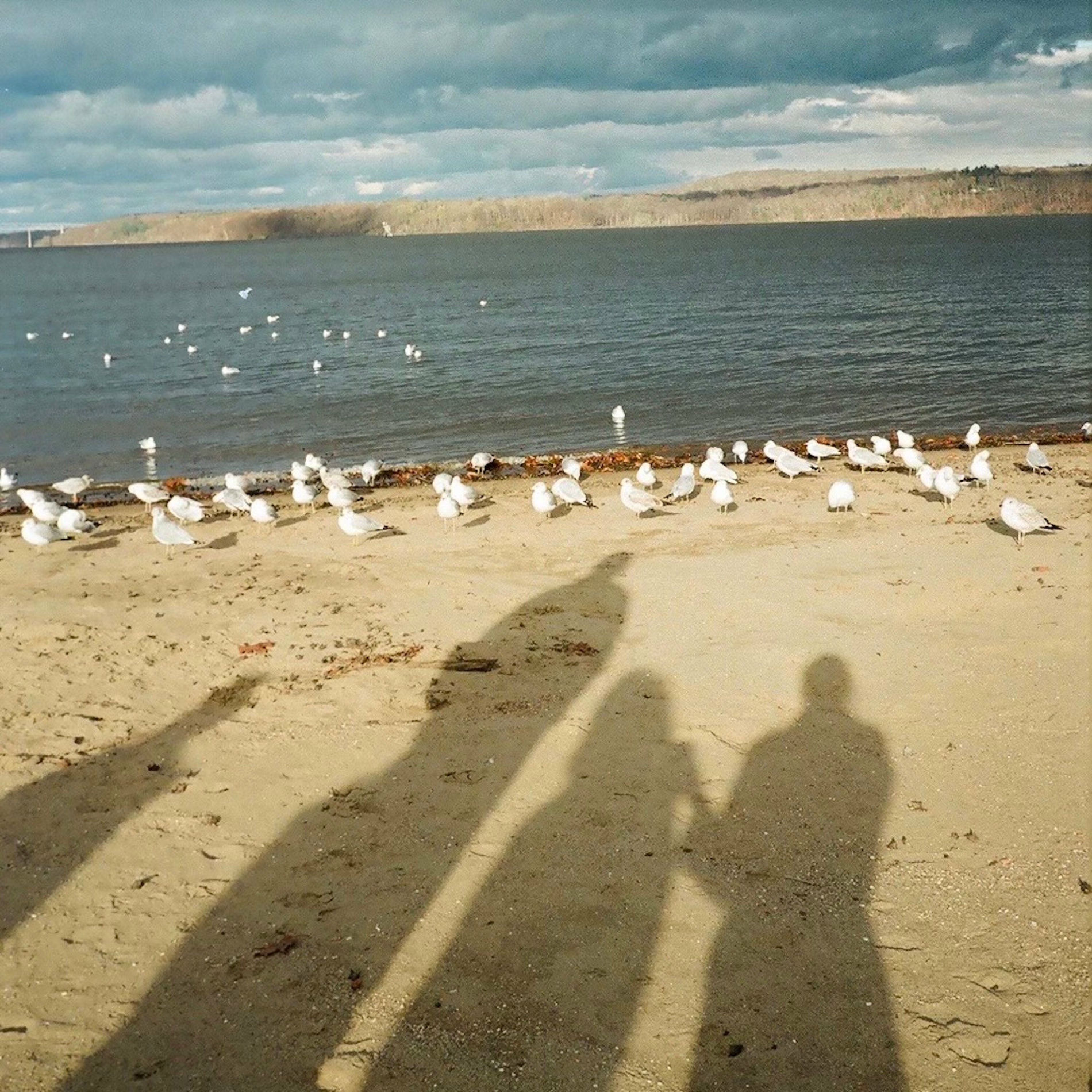 Album cover of Half Heard Melody
