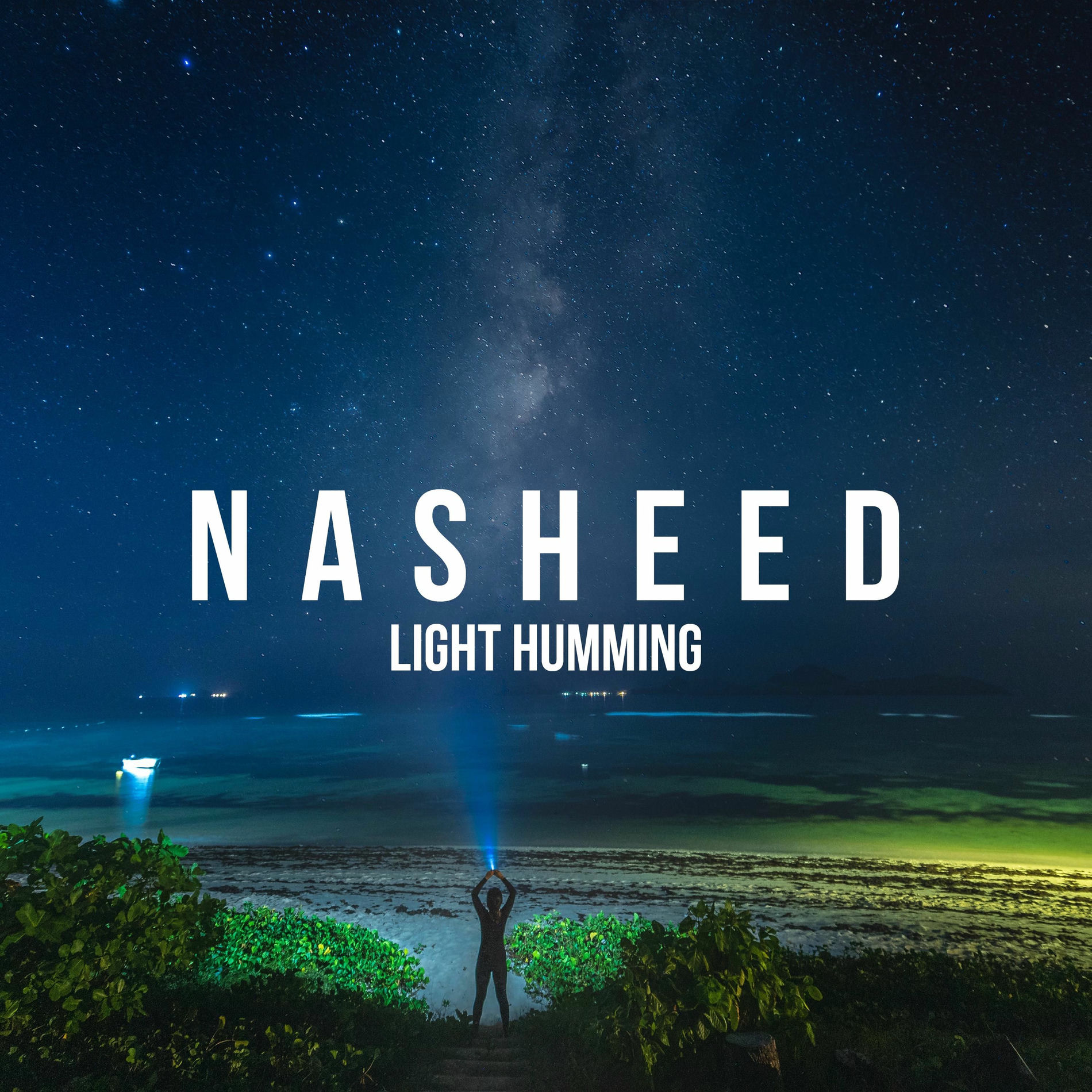 Album cover of Light Humming