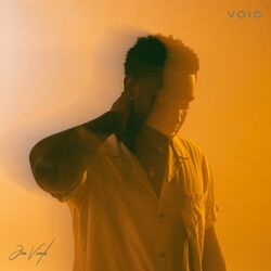 Cover of Void