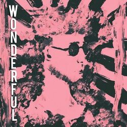 Cover of Wonderful
