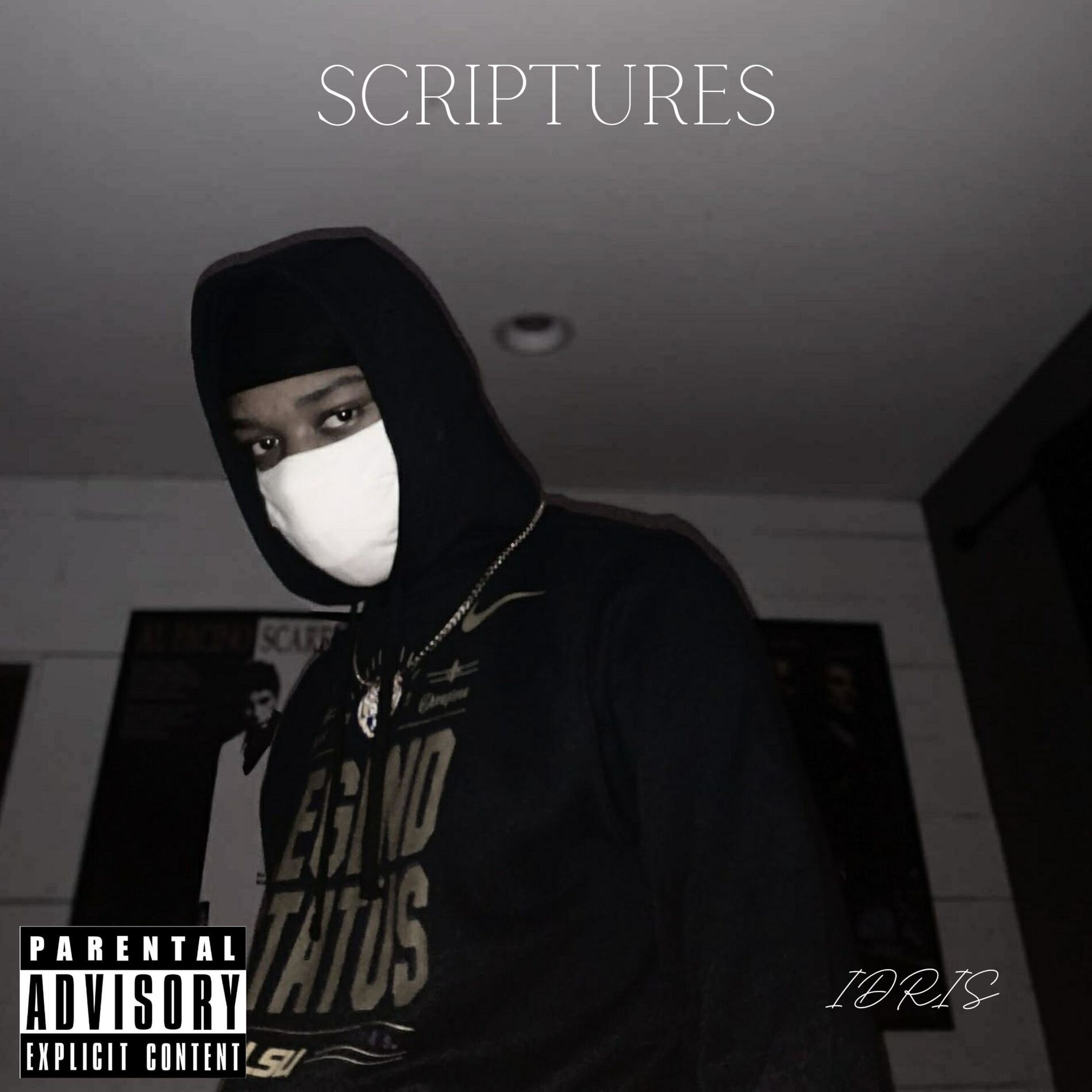 Album cover of Scriptures