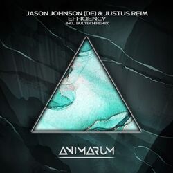 Cover of Efficency