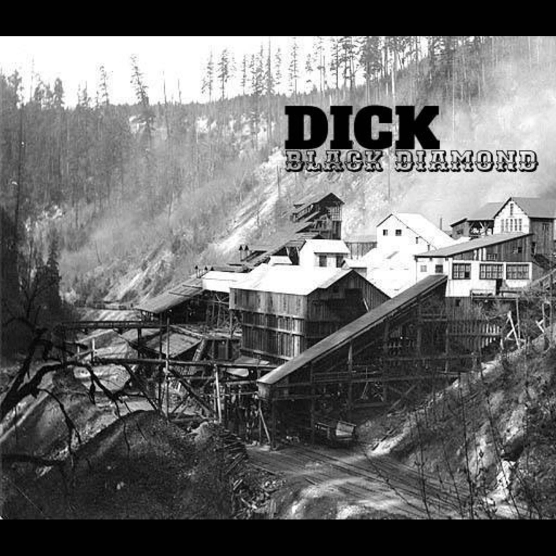 Album cover of Black Diamond