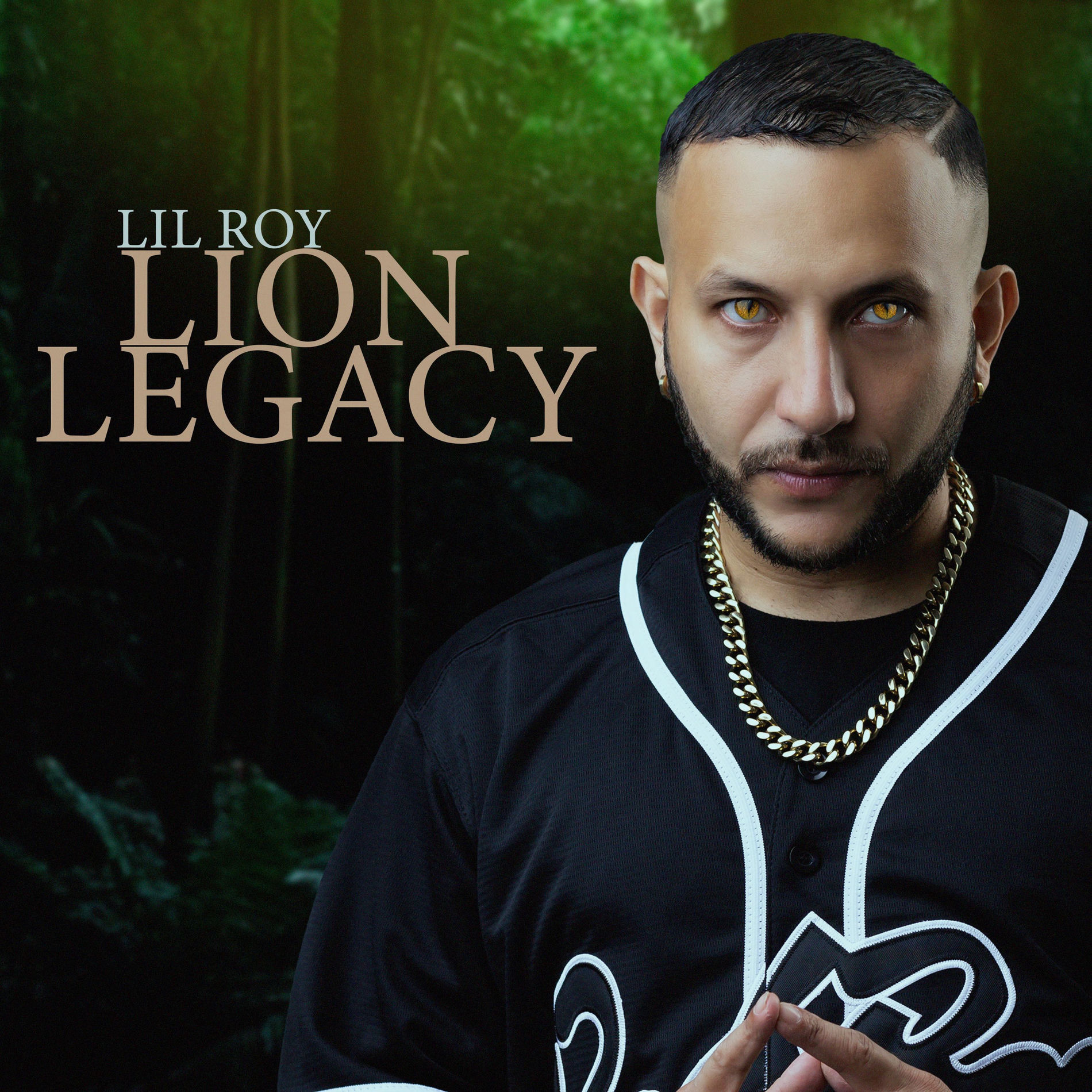 Album cover of Lion Legacy