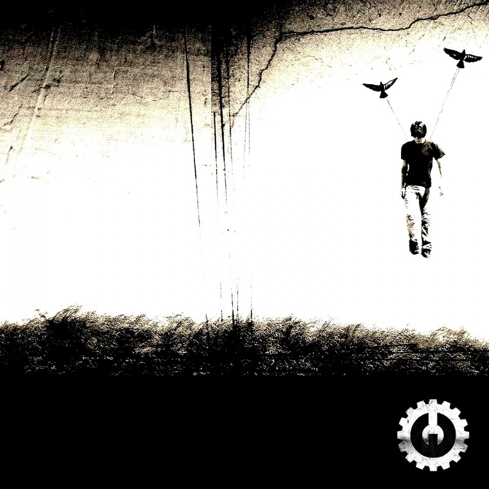 Picture of Phenoix Program