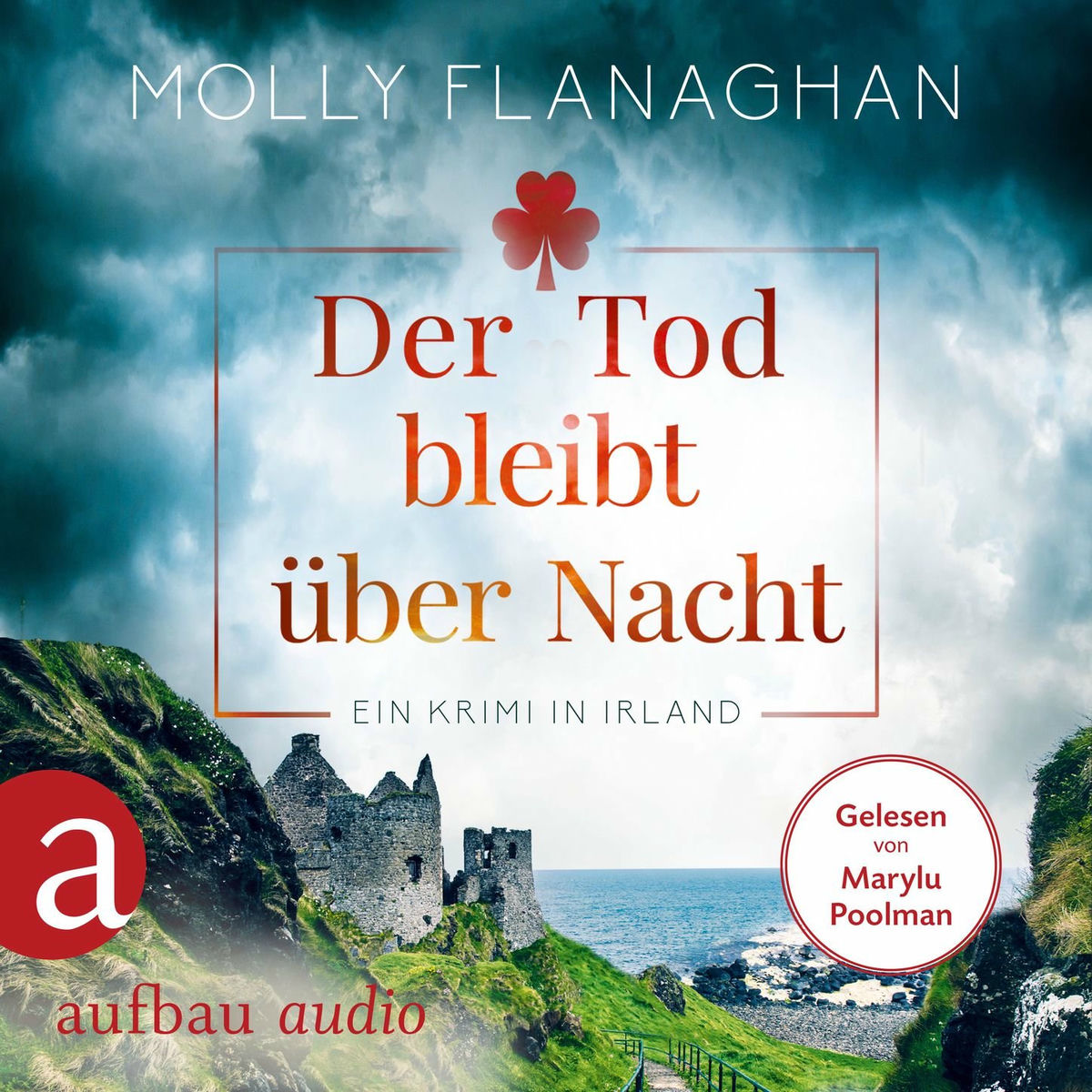 Album cover of Teil 1 - Der Tod bleibt über Nacht - Ein Krimi in Irland - Fiona O'Connor ermittelt, Band 2