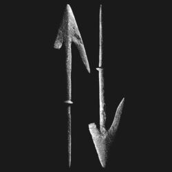 Cover of Endless Arrow