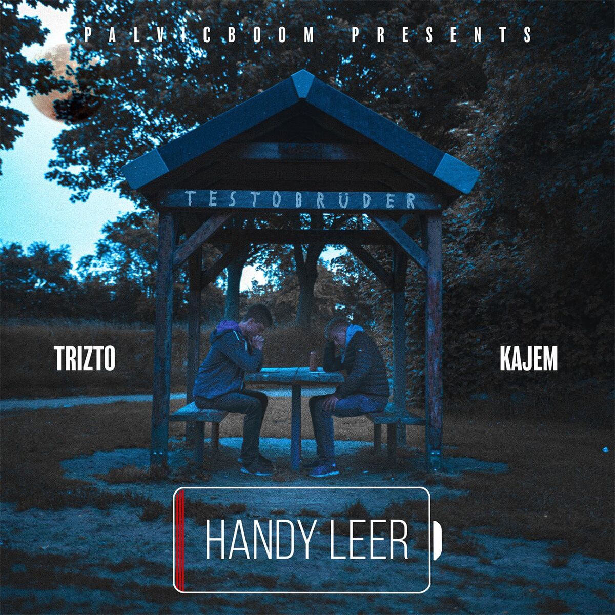 Album cover of Handy leer