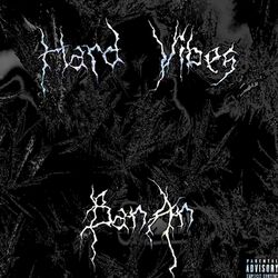 Cover of Hard Vibes