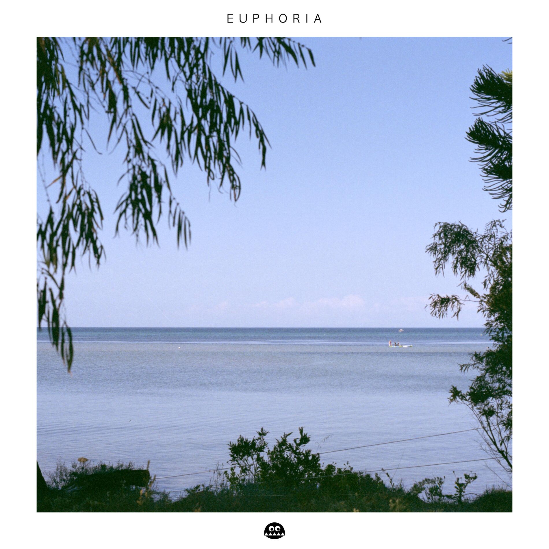 Album cover of Euphoria