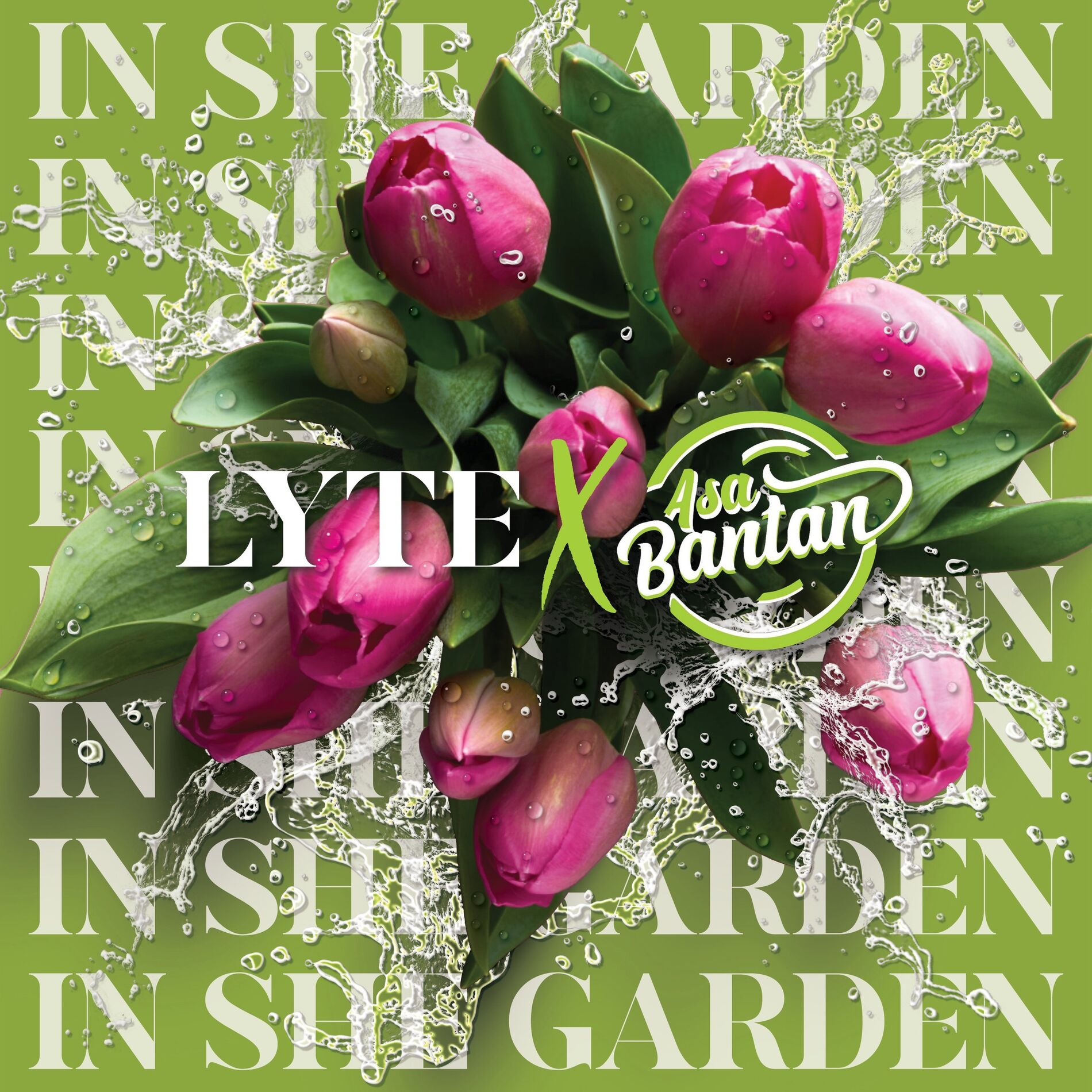 Album cover of In She Garden (Remix)