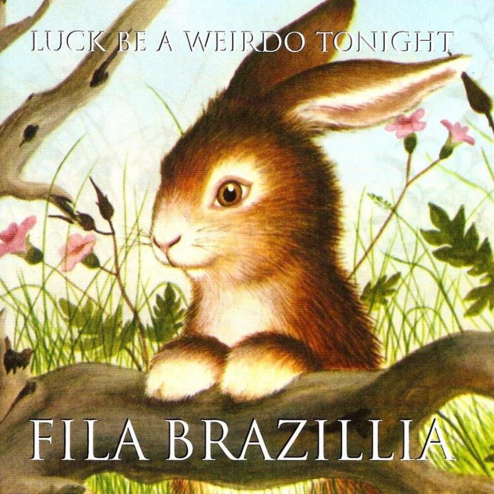 Picture of Luck Be a Weirdo Tonight
