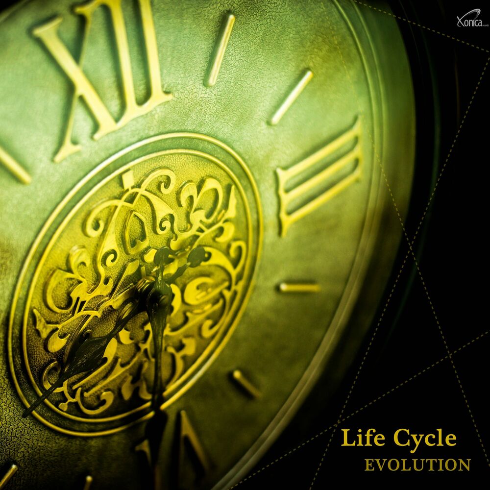 Picture of Life Cycle - Evolution