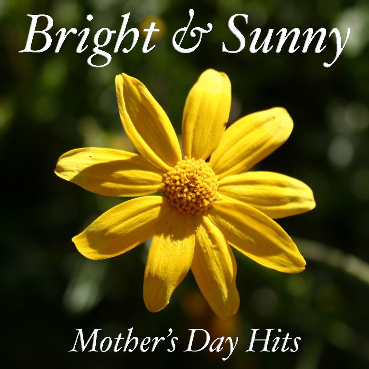 Album cover of Bright & Sunny Mother's Day Hits