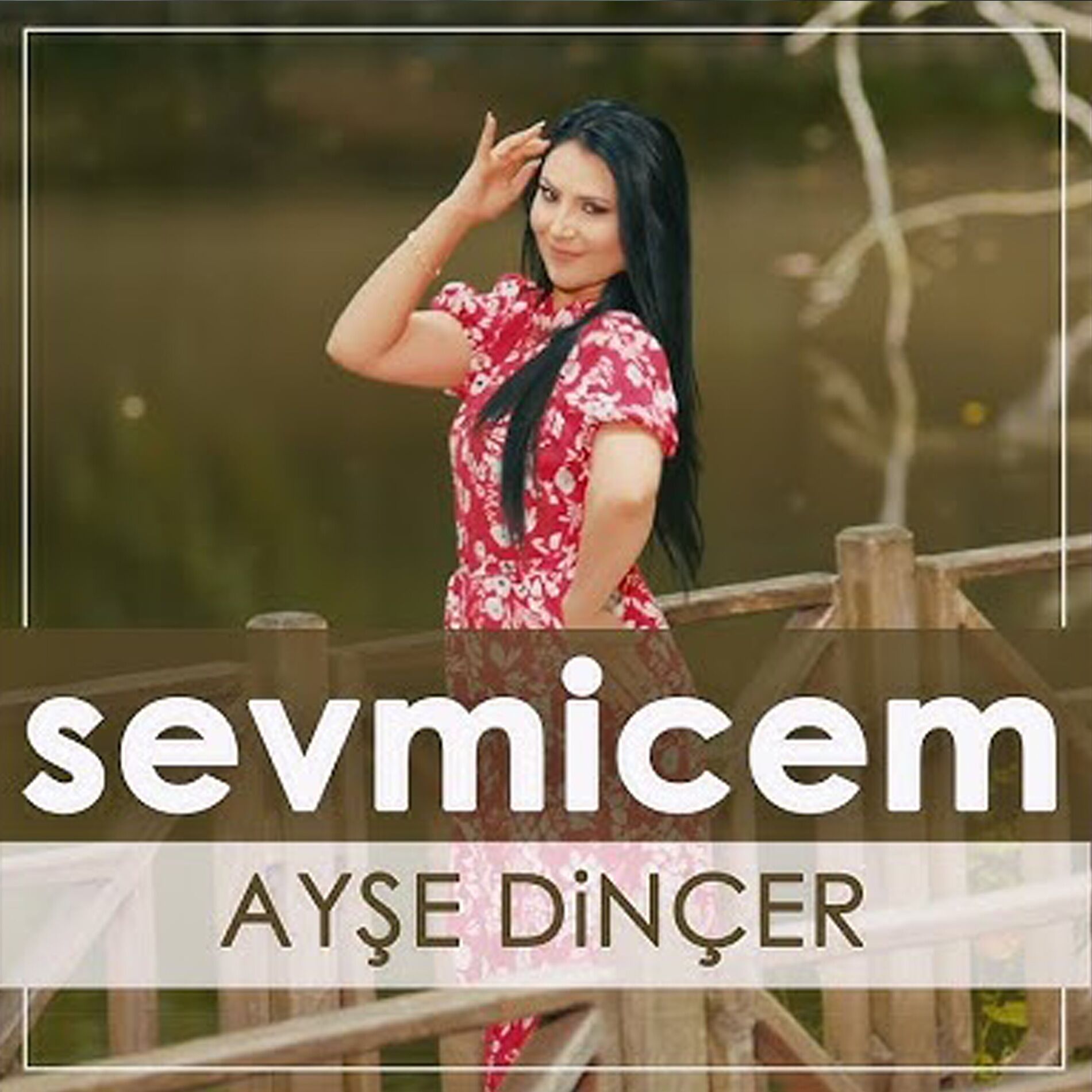 Album cover of Sevmicem
