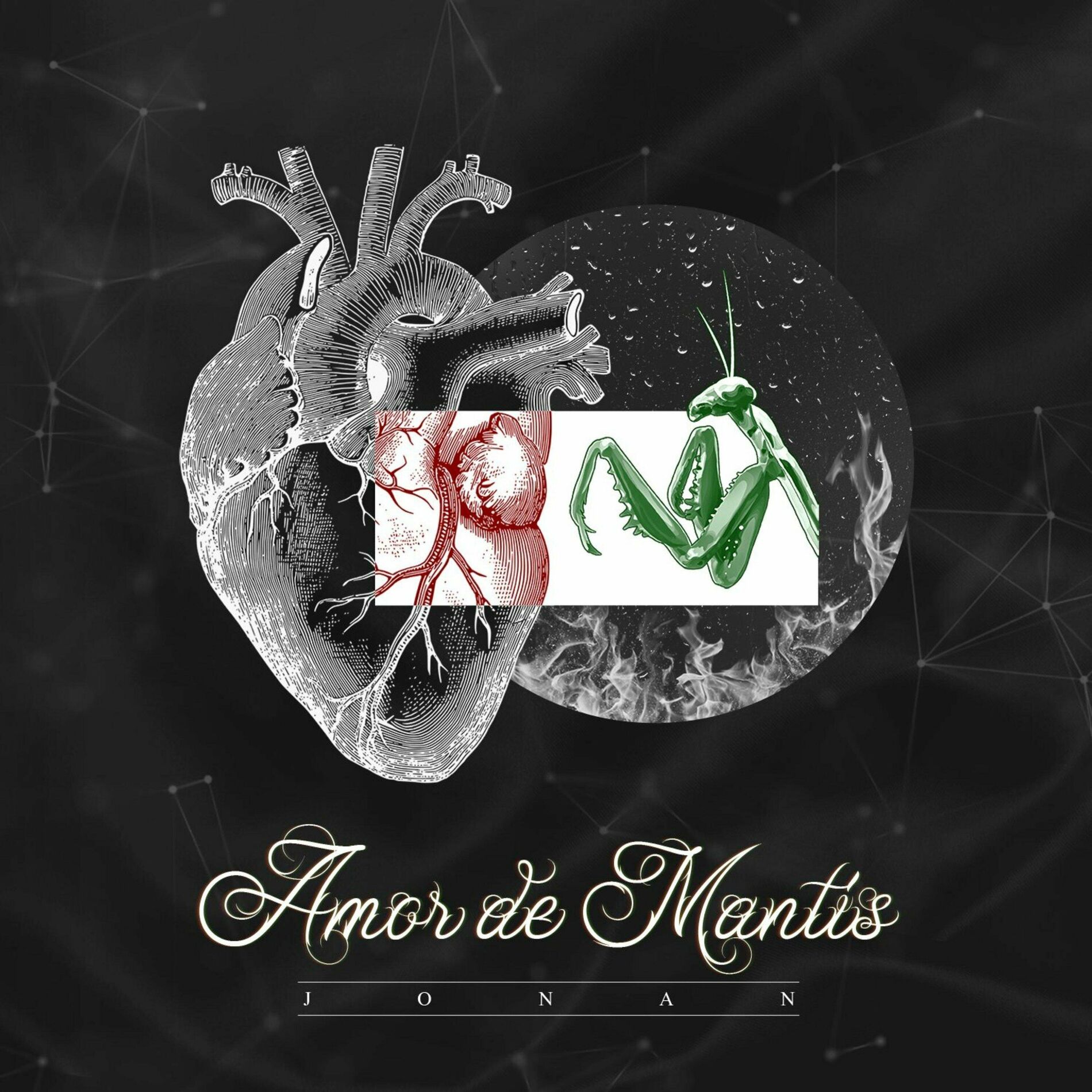 Album cover of Amor de mantis