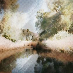 Cover of Journeys
