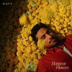 Cover of Between Flowers