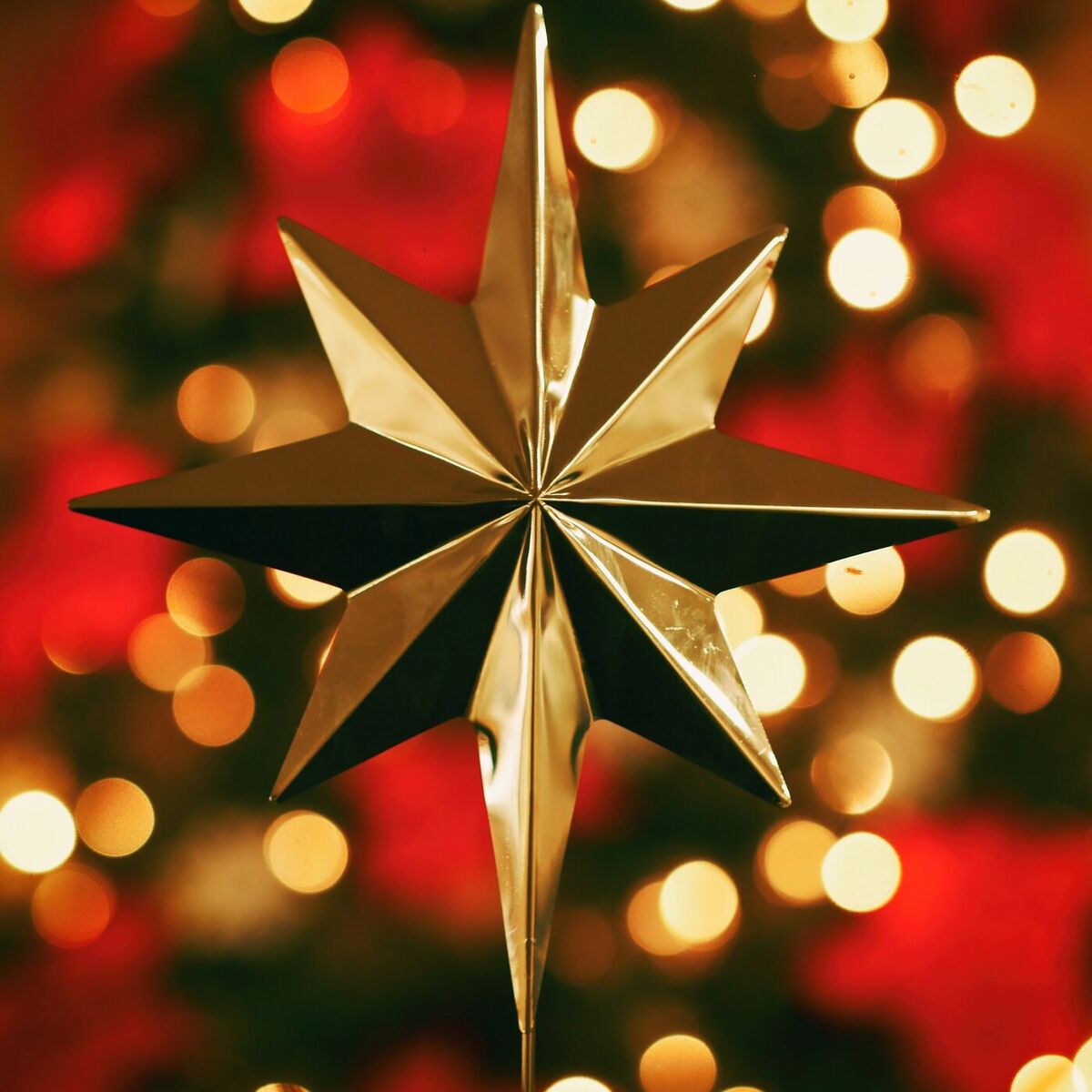 Album cover of Classical Christmas Carols
