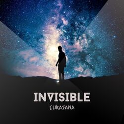 Cover of INVISIBLE