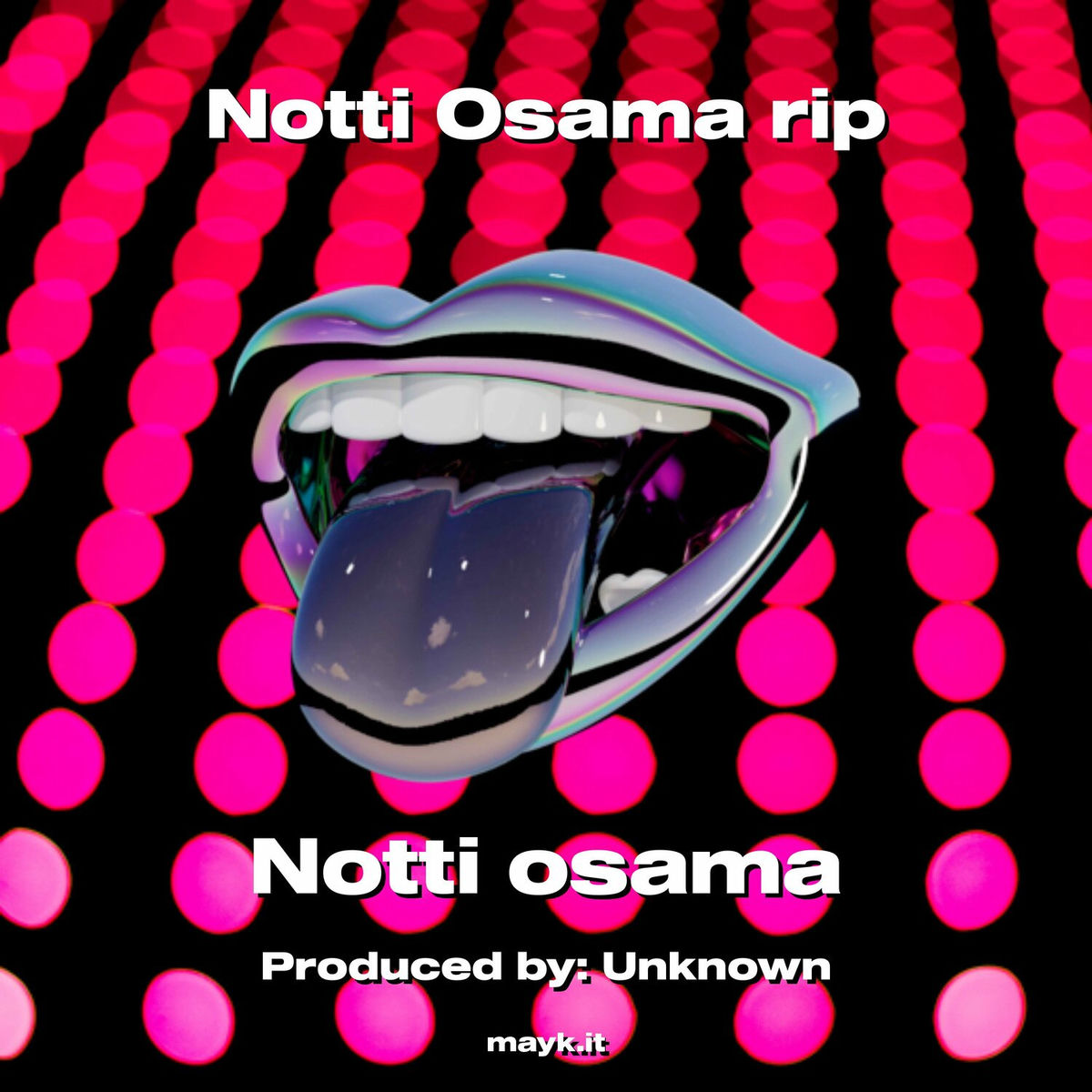 Album cover of Notti Osama rip