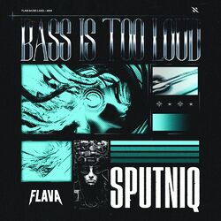 Cover of Bass Is Too Loud