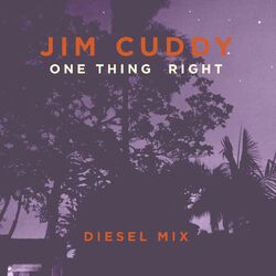 Cover of One Thing Right (Diesel Mix)