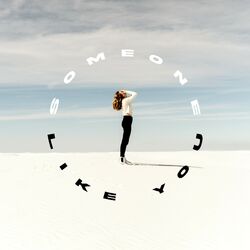 Cover of Someone Like You