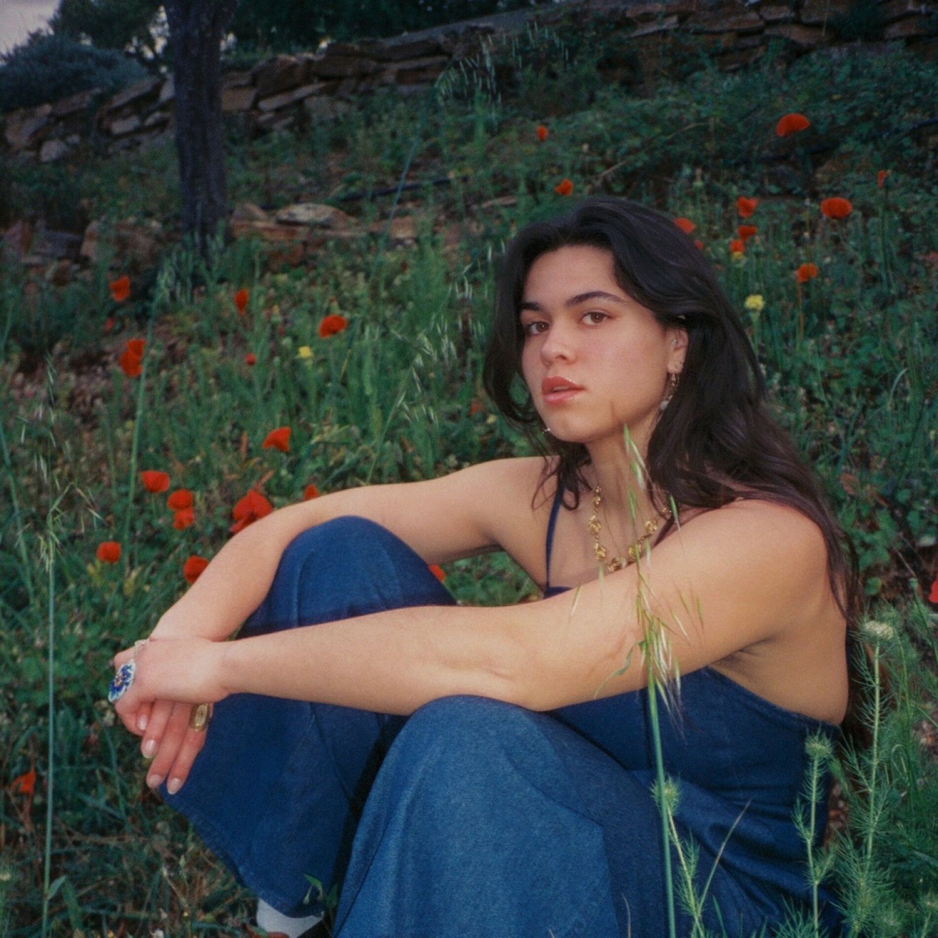 Album cover of Journal intime