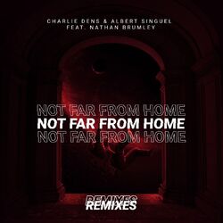 Cover of Not Far from Home Remixes