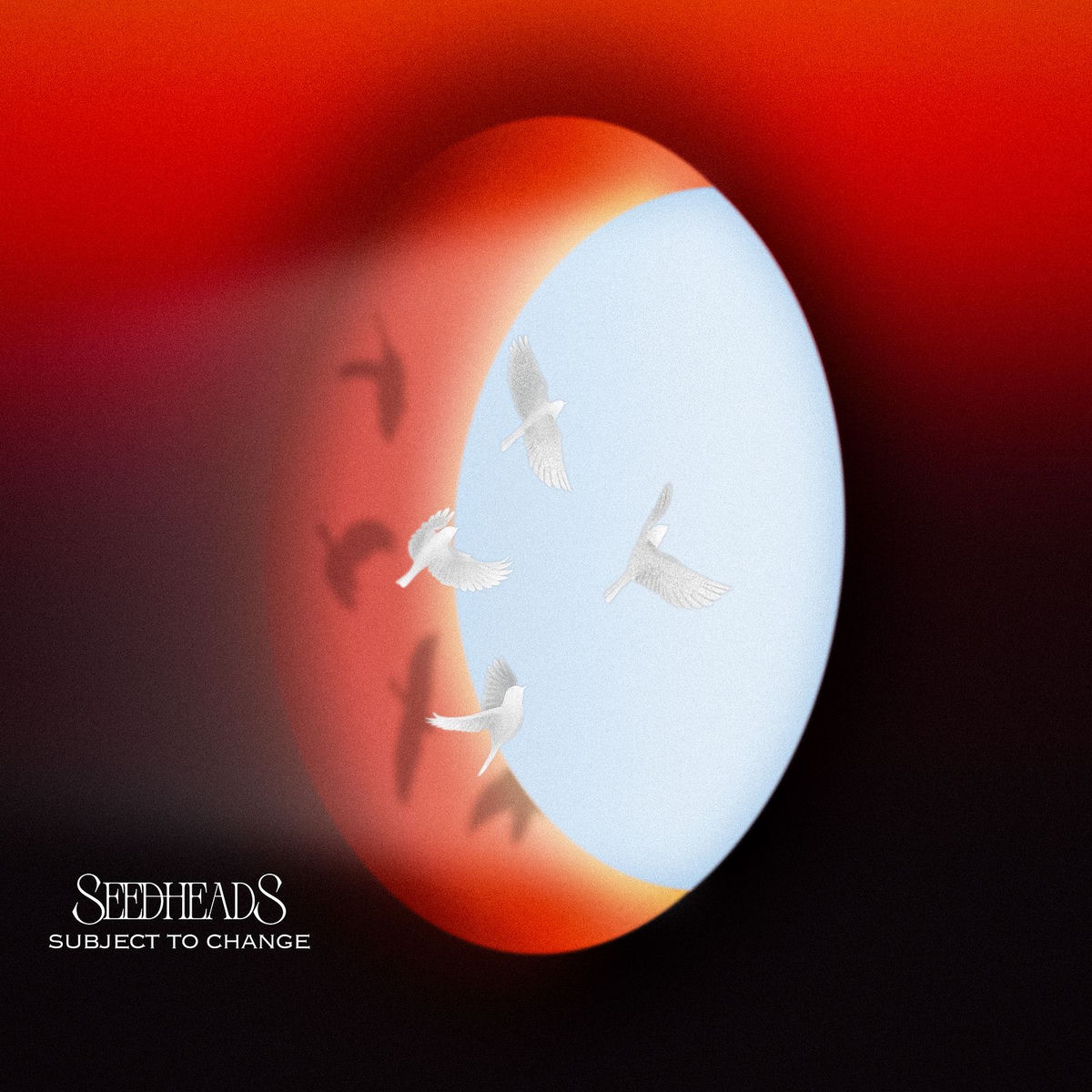 Album cover of Subject to Change