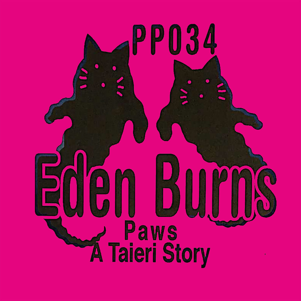 Album cover of Paws A Taieri Story