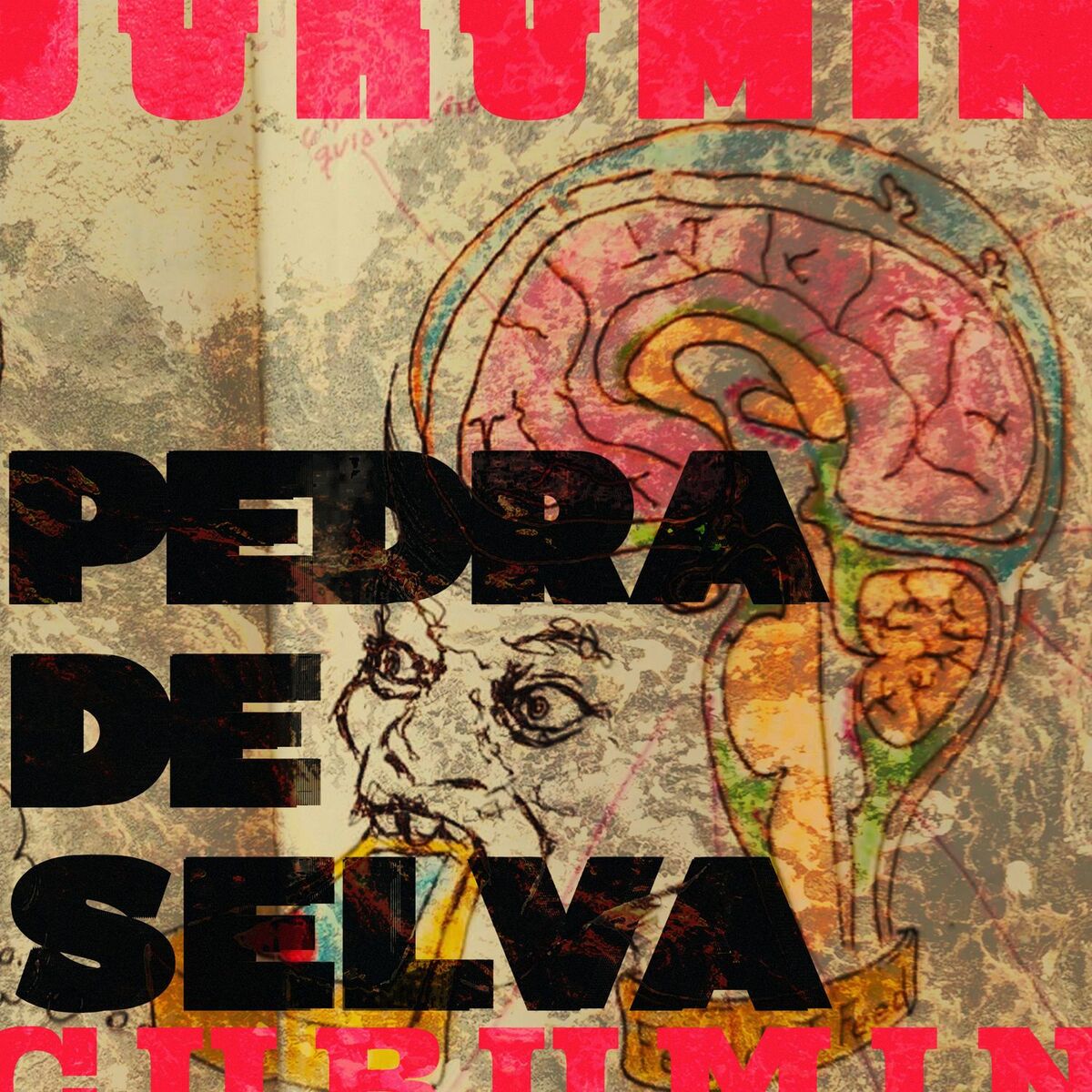 Album cover of Pedra de Selva