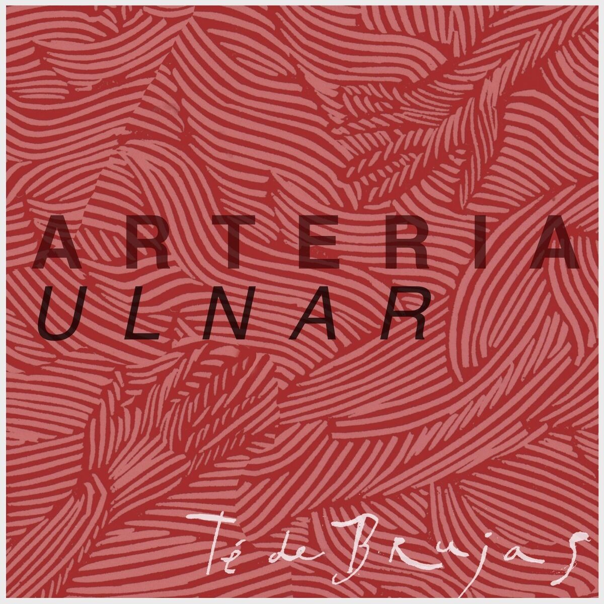 Album cover of Arteria Ulnar