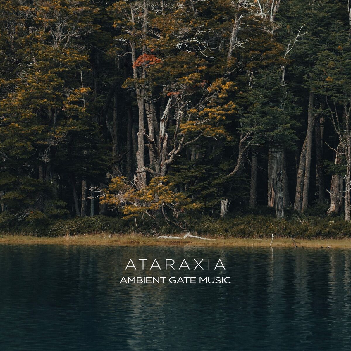 Album cover of Ataraxia