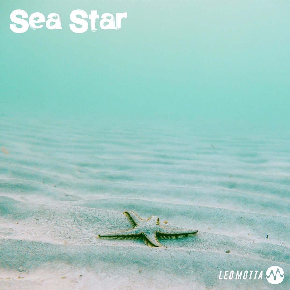 Album cover of Sea Star