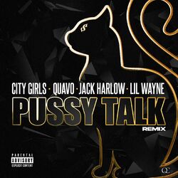 Cover of Pussy Talk (Remix)