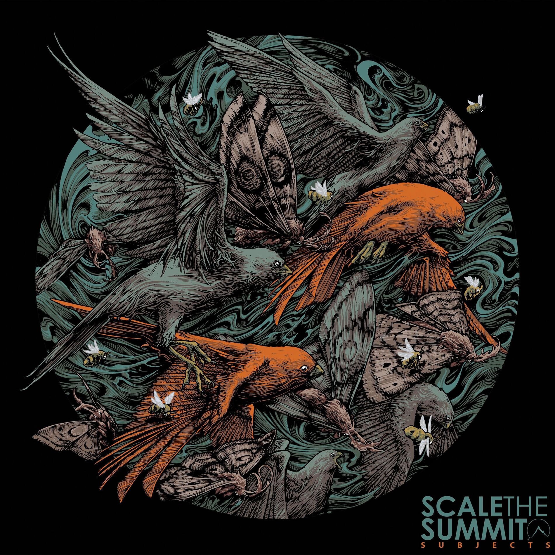 Album cover of Form & Finite (feat. Mike Semesky)
