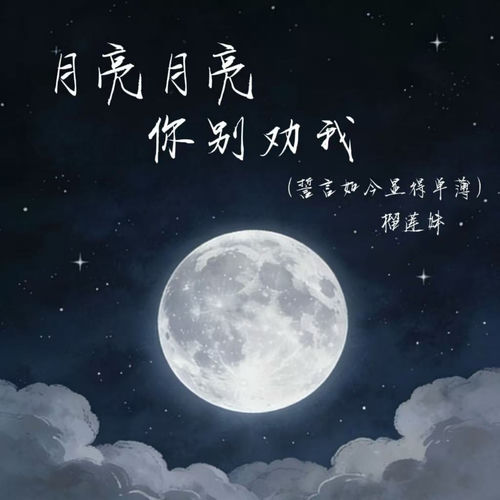 月亮月亮你别劝我 (誓言如今显得单薄)