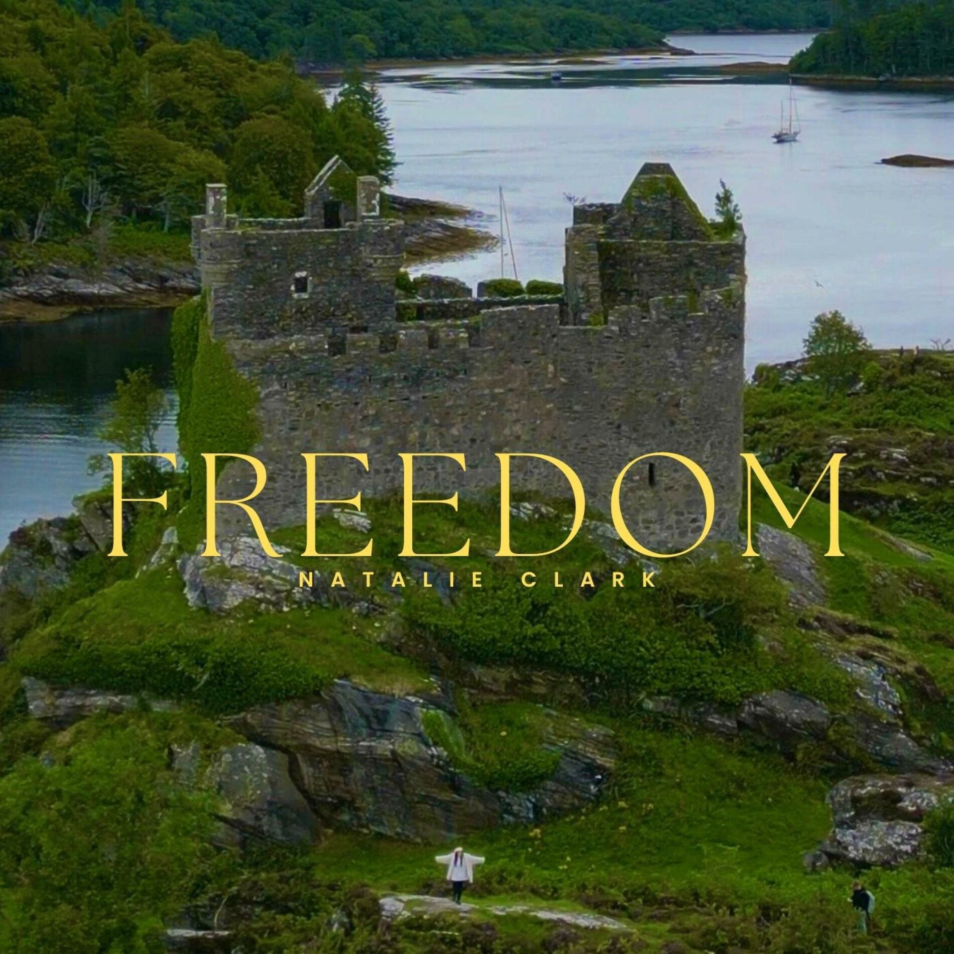Album cover of FREEDOM