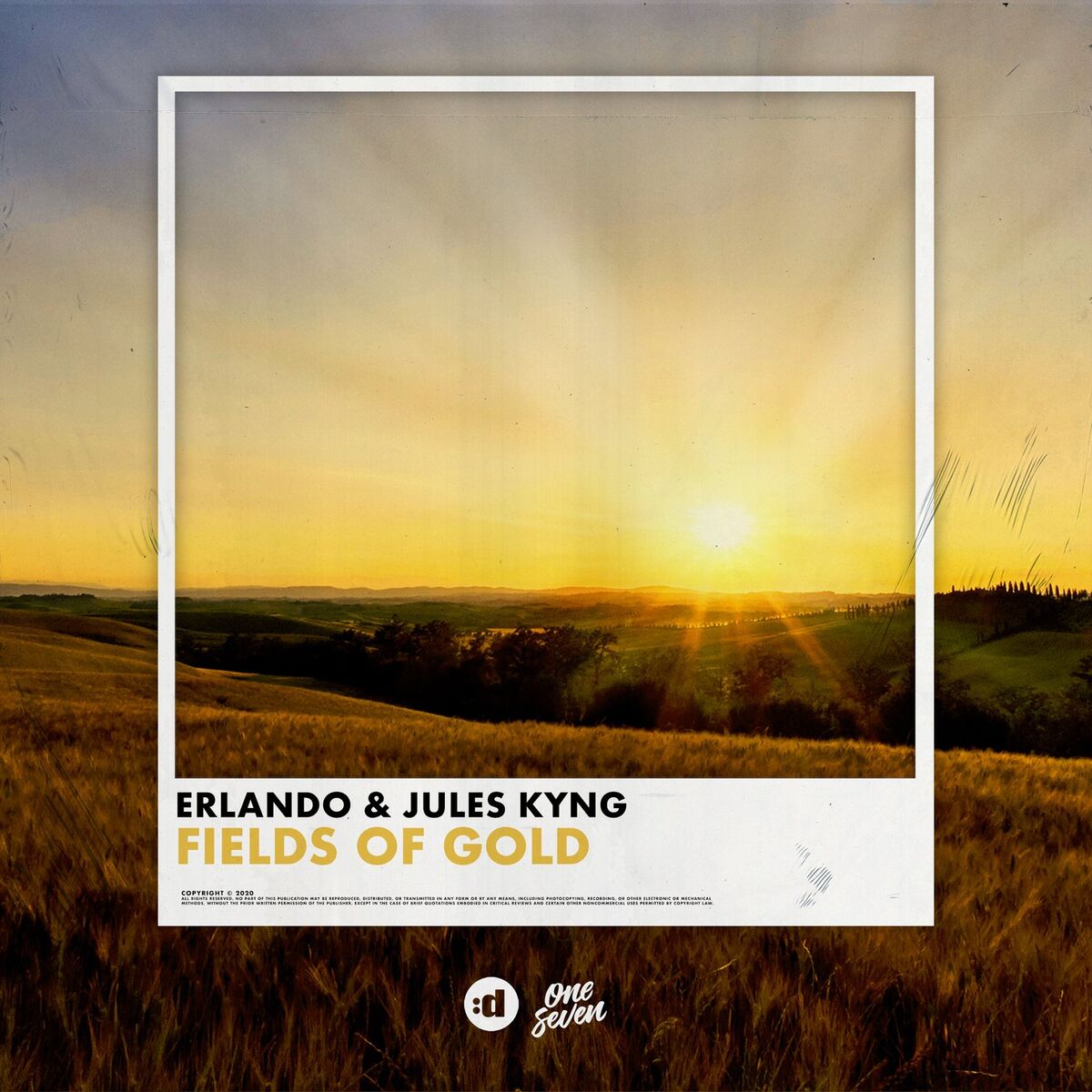 Album cover of Fields of Gold