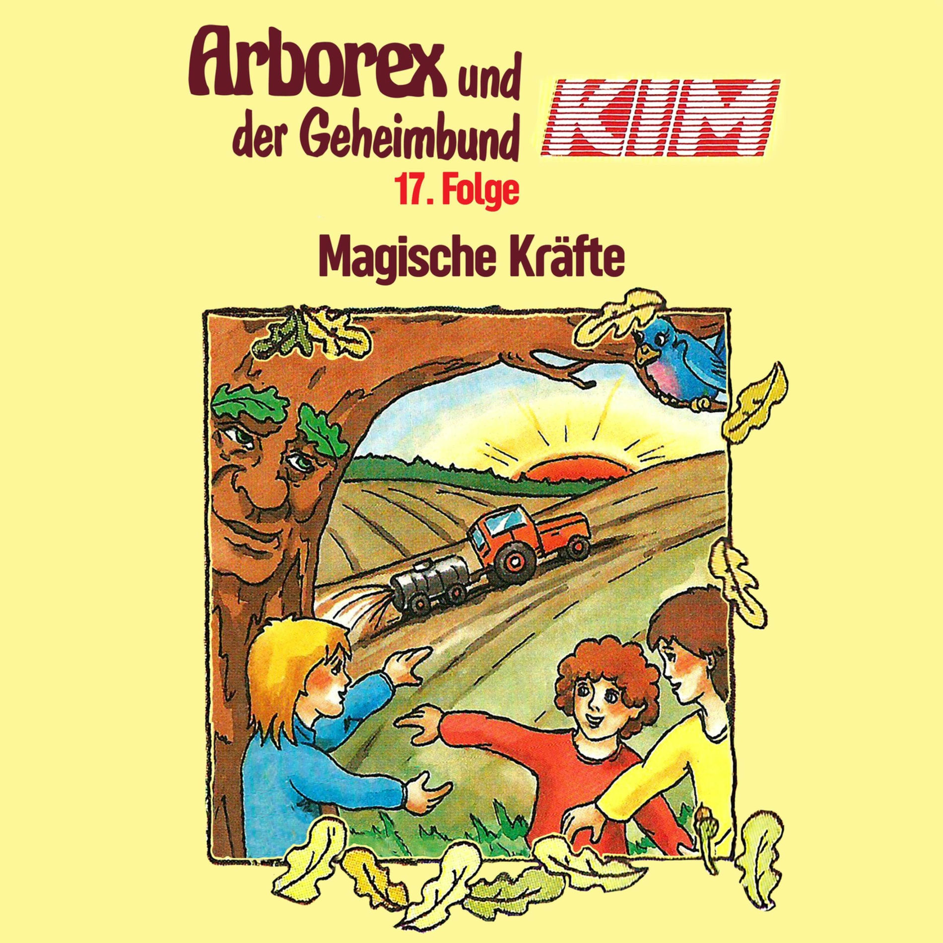 Album cover of 17: Magische Kräfte