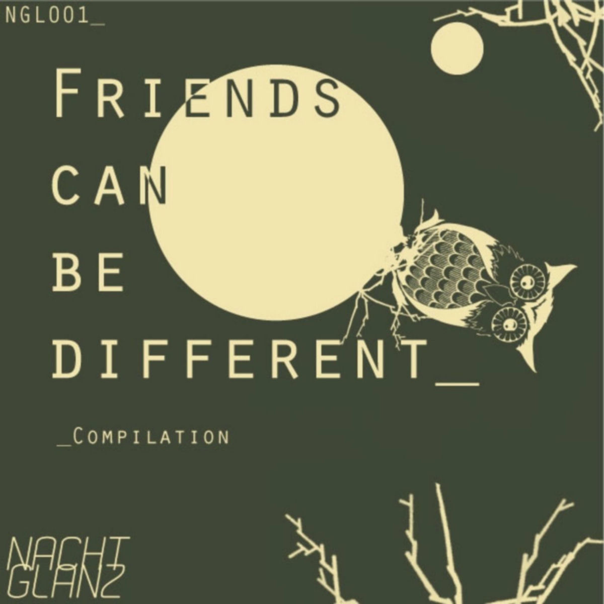 Album cover of Friends Can Be Different