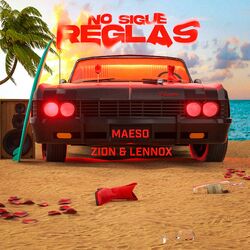Cover of No Sigue Reglas