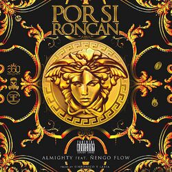 Cover of Por Si Roncan