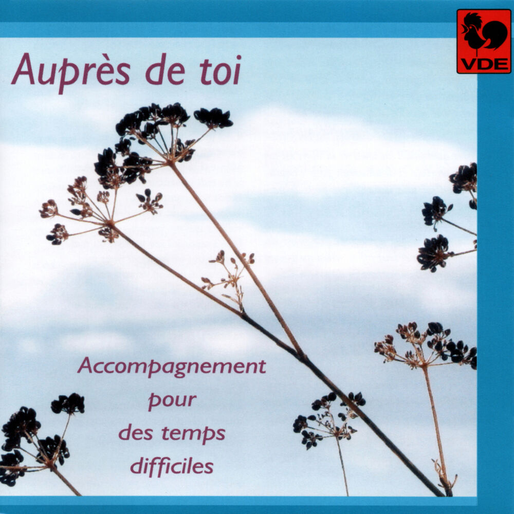 Picture of Auprès de toi: Accompagnement pour des temps difficiles